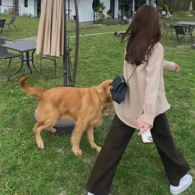 爱你的基蒂